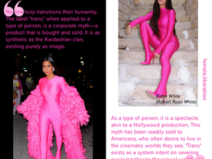 The lies of the body modification industry harm all of us...Jennifer Bilek's Analysis Helped Me to Connect the Dots