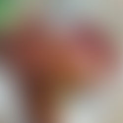 Fried Chicken Roll Recipe