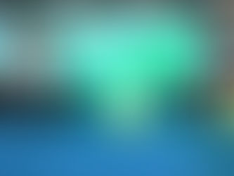 豆博会:天然大豆现货交易有了数字化平台