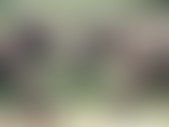 长篇小说《人生之味》第一节:借题发挥