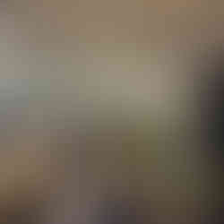 Effingham County NAACP Freedom Fund 2023