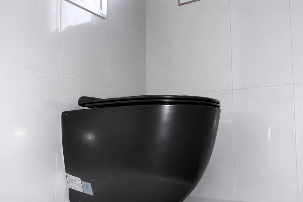 Bathroom Remodeling pickering