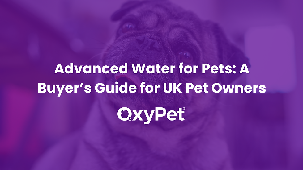 Water for pets