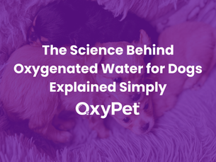 Oxygenated water