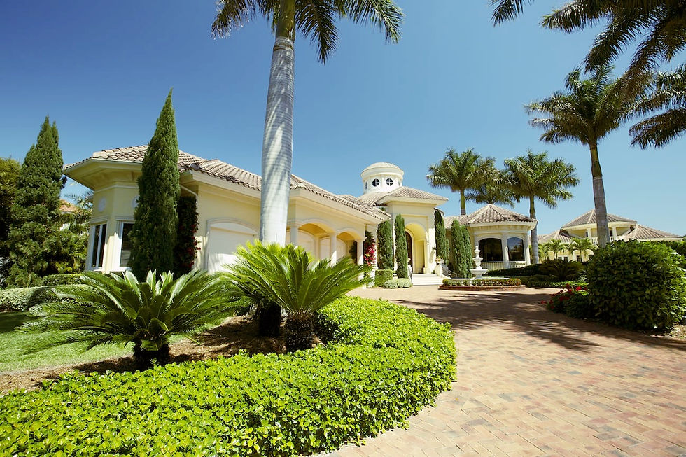 The Best Outdoor Plants for Southwest Florida Landscaping in 2026