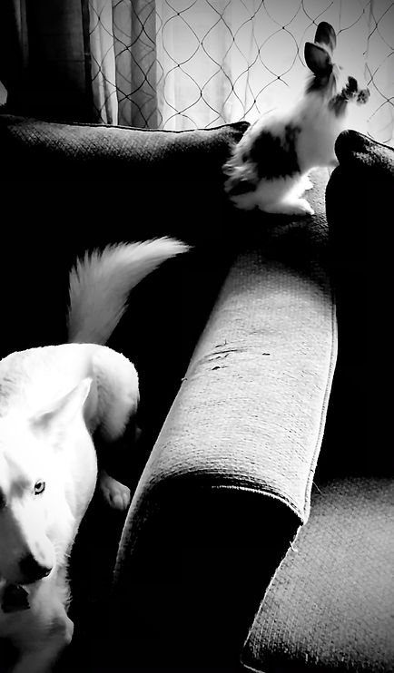IMG-1494 (1).JPG