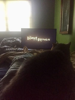 84567937_10218923533350807_1696280729211