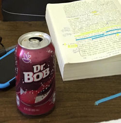 12974512_10207890877221299_3246135000616