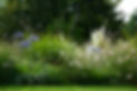 N&p Jardin Juillet