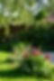 N&p Jardin