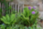 N&p Jardin mai