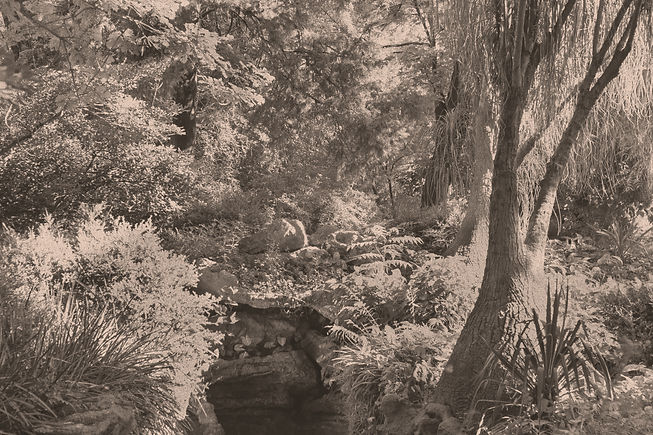 GriPin_25_edited_edited.jpg