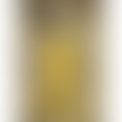 Leitura Terrorista: O rei de amarelo (Robert W. CHAMBERS)