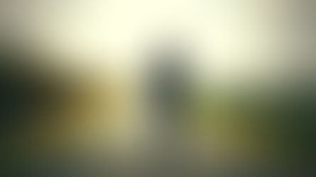 Open Letter to the World from a Lost Student