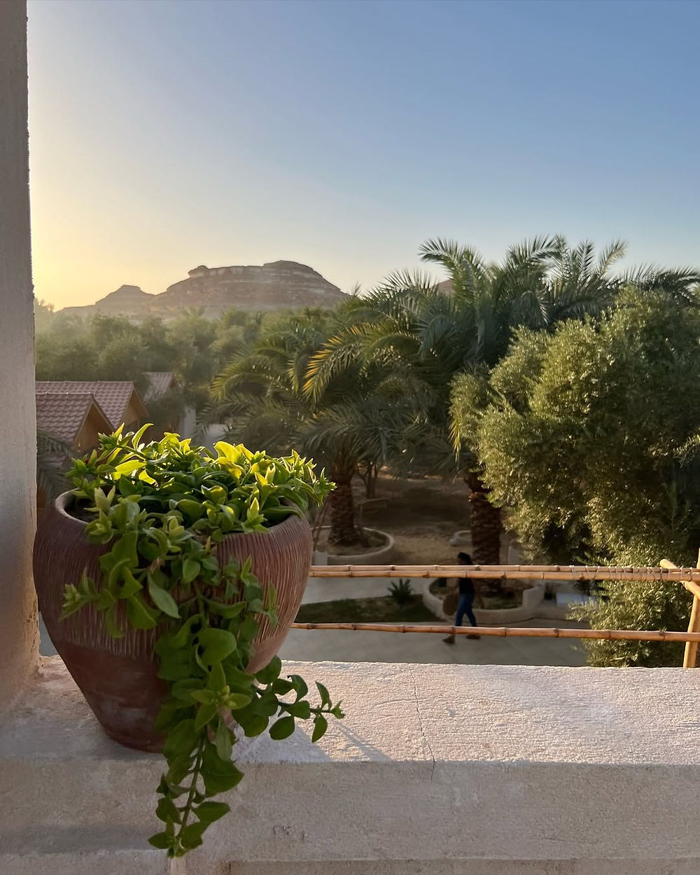 Siwa Egypt