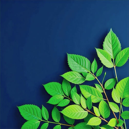 dark blue and green health_edited.jpg