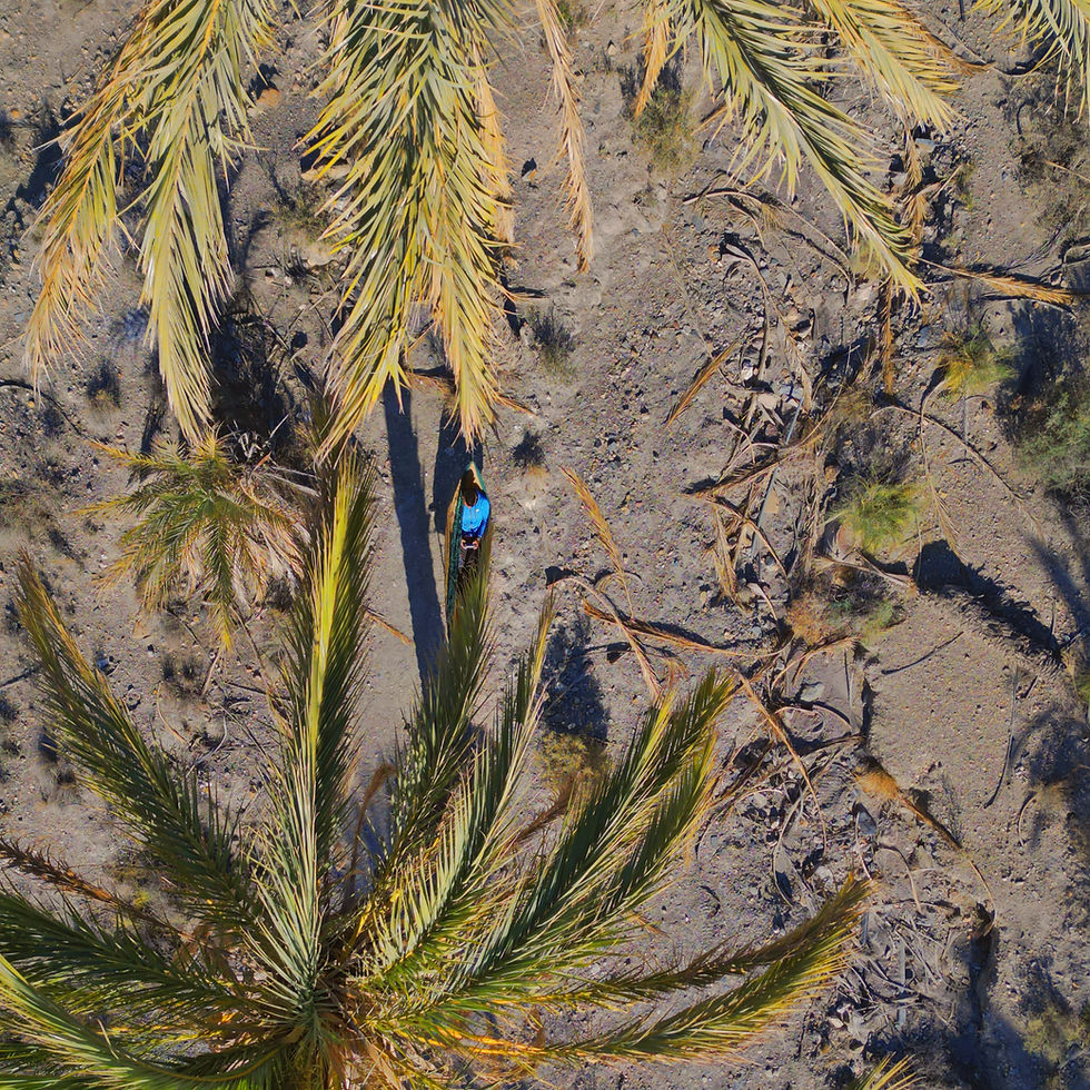 Miniaturbild: Hängematte + Aufhängung