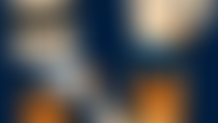 Insichgeschäfte bei Einpersonen Kapitalgesellschaften in der Schweiz