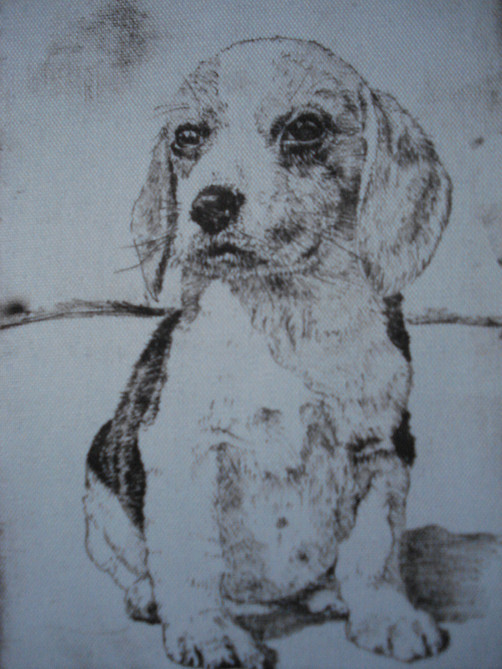 Puppy Dog - Waterless Litho