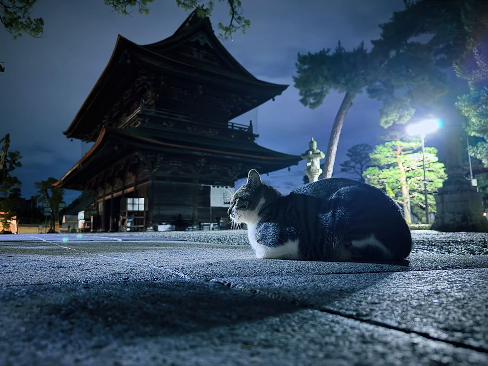 秋は・・・。