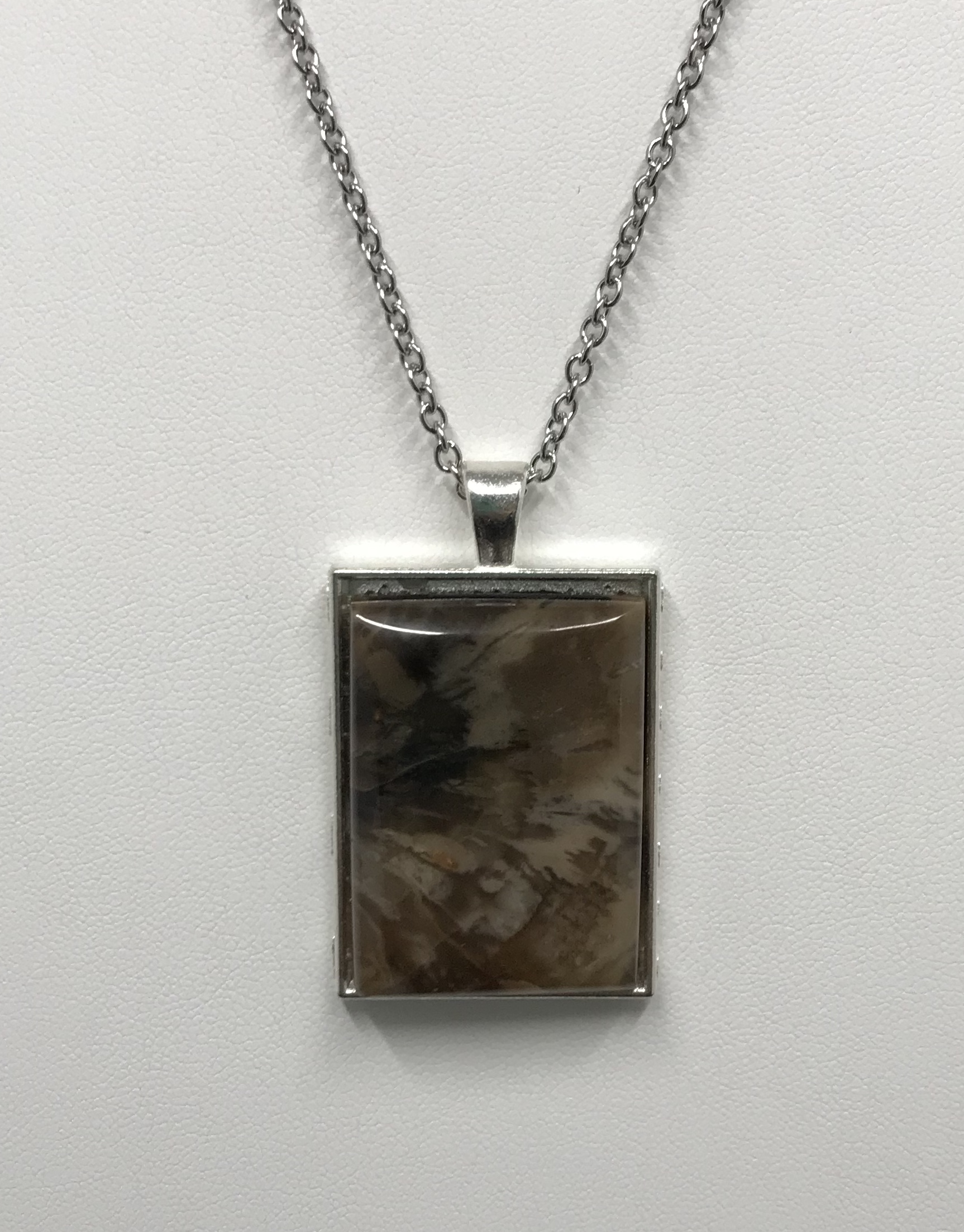 Petrified Wood Agate