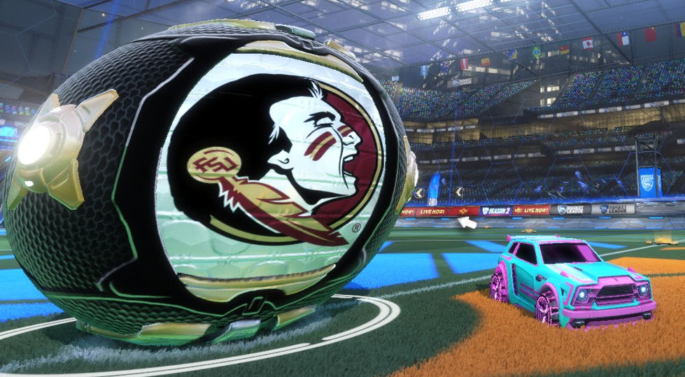 Custom FSU Branded In-Game Assets