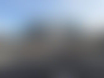 The Willows at Forest Drive