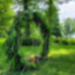 Île jardin/tisser le vivant