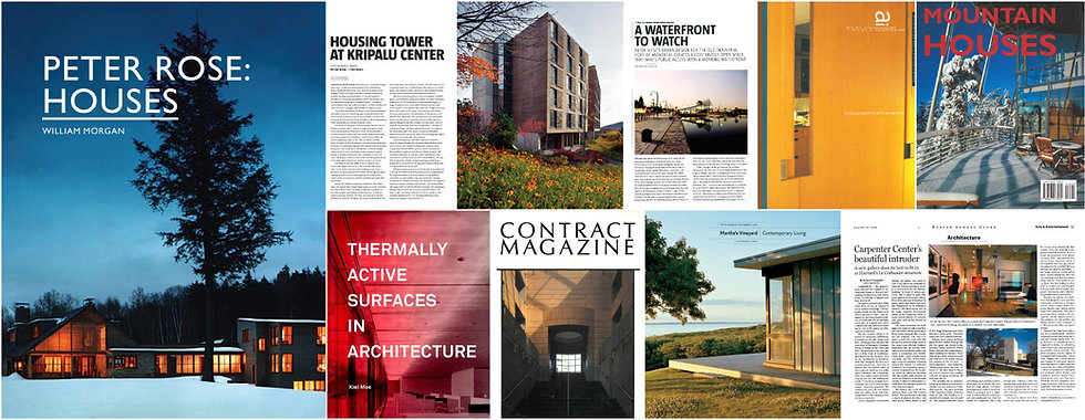 Publications 01.jpeg