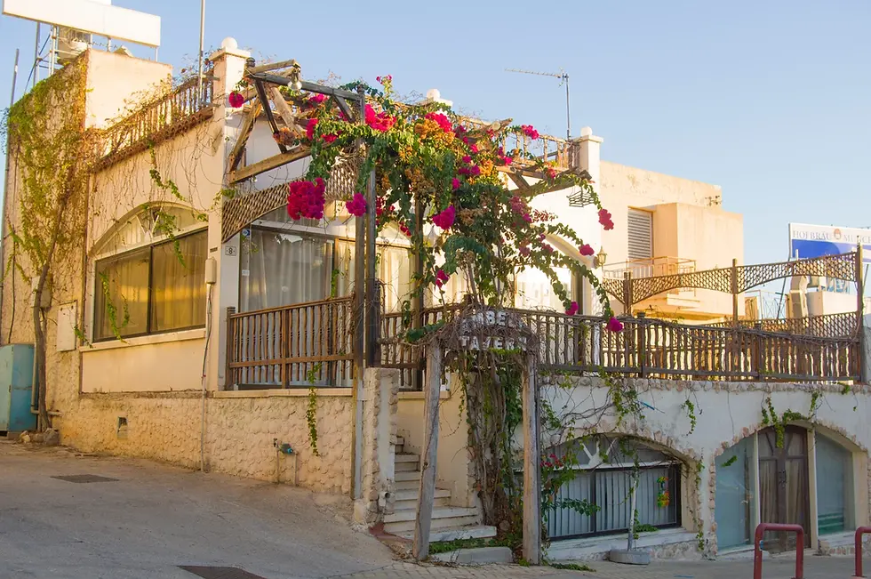 Cyprus property buyer reviewing legal risks and due-diligence documents