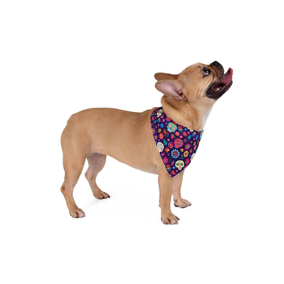 Thumbnail: Day of the Dead Pet Bandana  