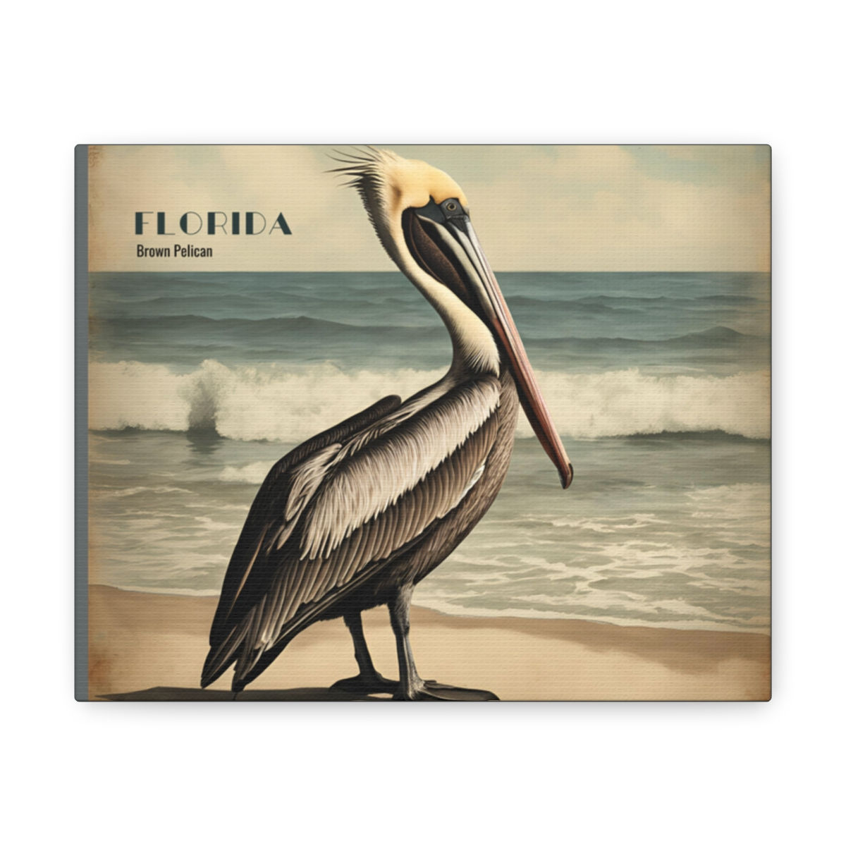 Vintage Art Florida Coastal Pelican on Canvas Gallery Art