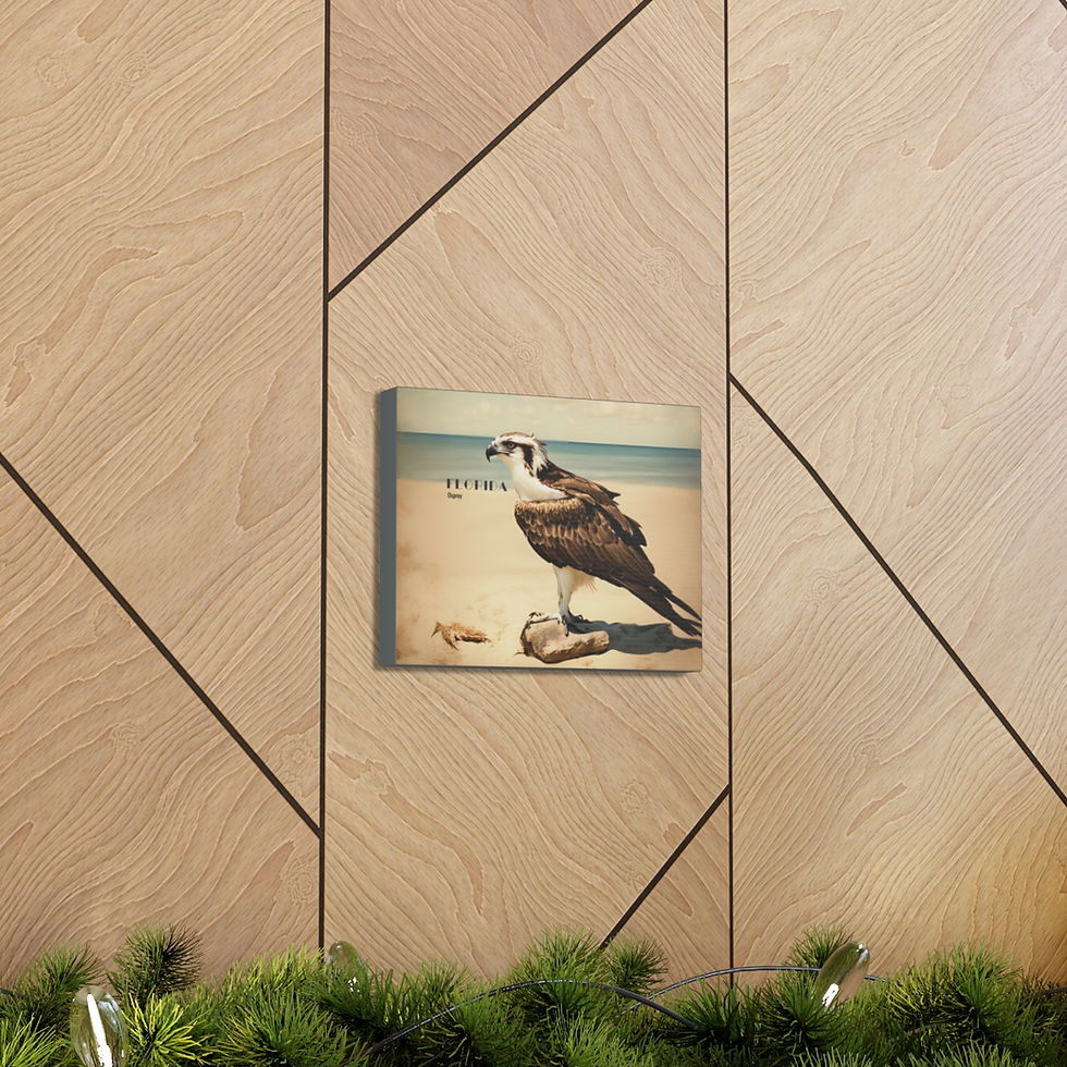 Thumbnail: Vintage Art Florida Osprey Canvas Gallery Art
