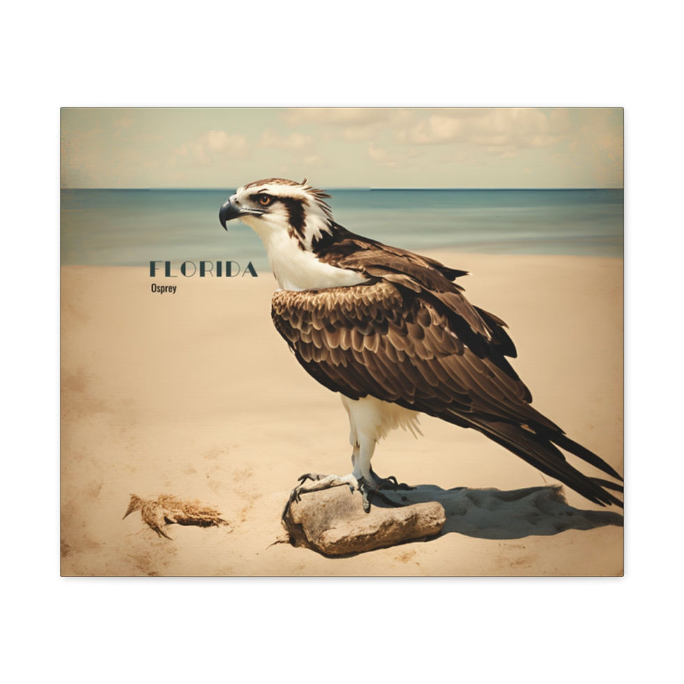 Thumbnail: Vintage Art Florida Osprey Canvas Gallery Art