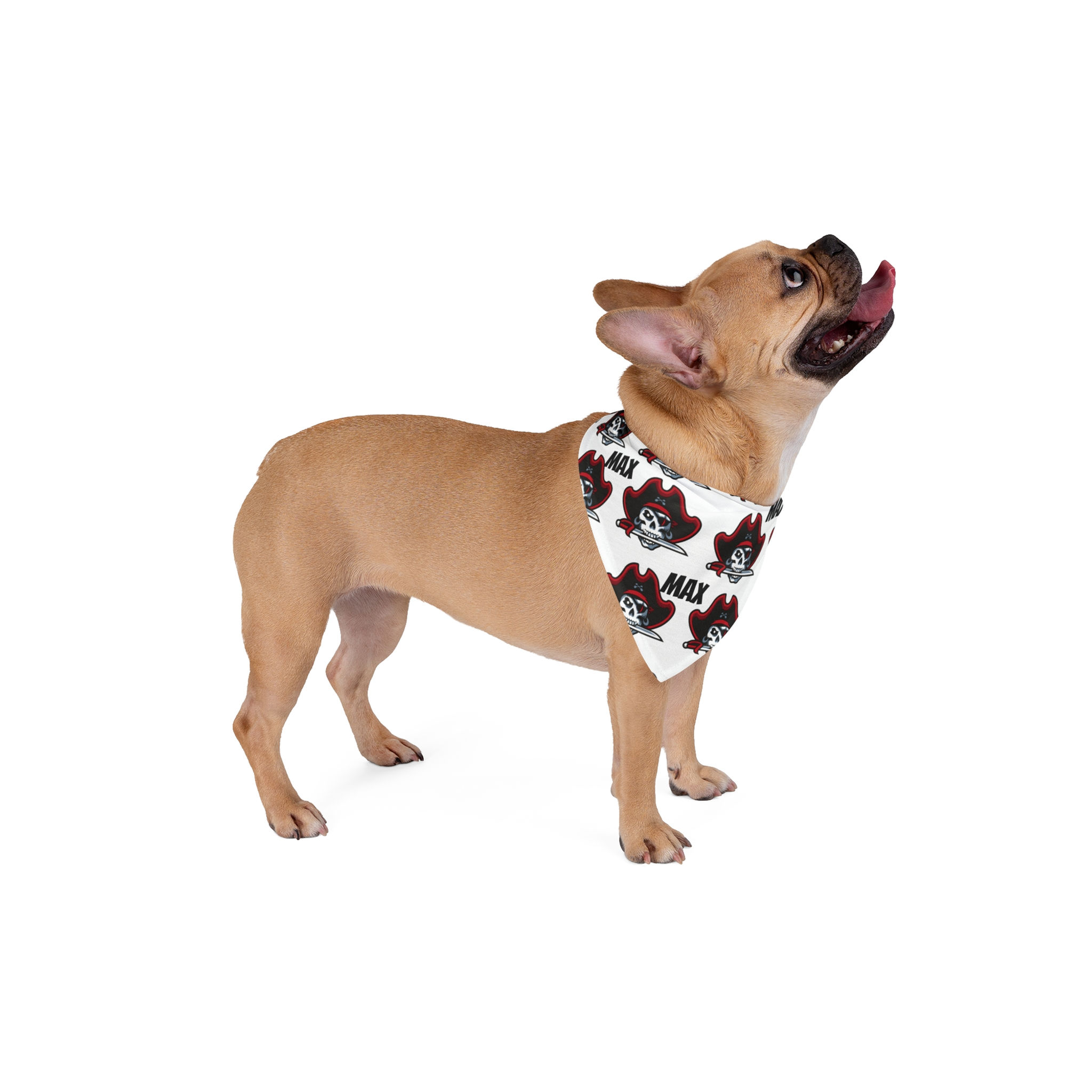 Pirate Dog Pet Bandana with Custom Name