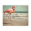 Thumbnail: Vintage Art Florida Flamingo Canvas Gallery Art