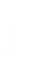 Arachnoid Logo PNG (w).png