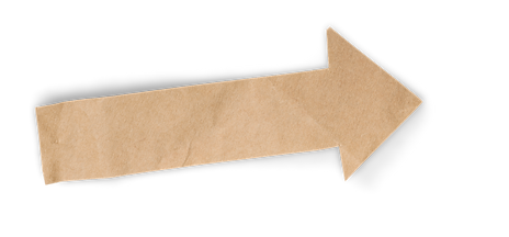 the fold (9).png