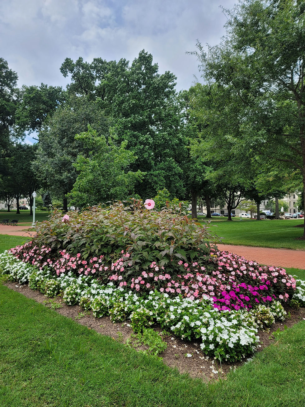 Rock Hall Central Park