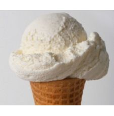 Vanilla Bean Ice Cream