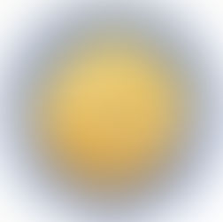 Tagliatelle with Leeks and Fontina Cheese