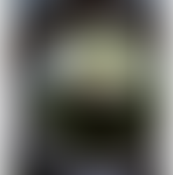 Chocolate Mint Cupcakes