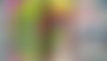 !!LINK!! Tonica Fogata 11 Keygen 11