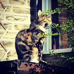 It's a hard life , sitting in the sun all day