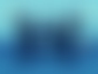 אינטגרציה של 43 עקרונות וטכניקות באומנויות לחימה – בעסקים, בניהול ובליטיגציה