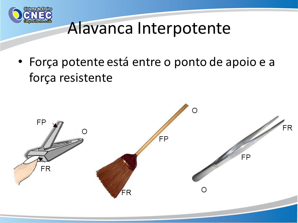 Alavancas exemplos dia usadas exemplo brainly Alavancas exemplos dia usadas exemplo brainly