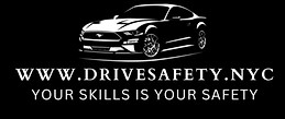 Logo Driving School 