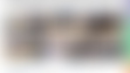 Curso de Trombectomia Mecânica em Equipamentos de Hemodinâmica com Imersão em Simulação Virtual