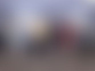 SBHCI criou o grupo MINT. Confira como foi o curso para intervencionistas