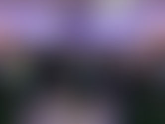 7a edição do workshop INTERVENCOR imaging reúne especialistas em imagem intravascular